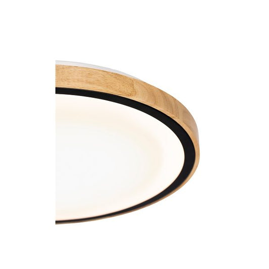 LED plafonjera LIAM 18W