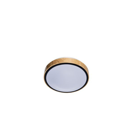 LED plafonjera LIAM 24W