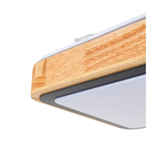 LED plafonjera LIAM 18W