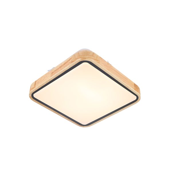 LED plafonjera LIAM 24W