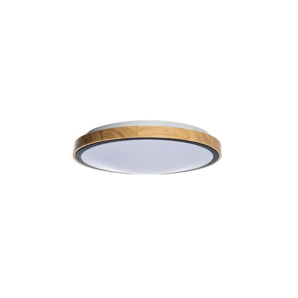 LED plafonjera LIAM 24W